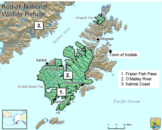 Figure 1.1 Kodiak Operator Bear Viewing Locations 