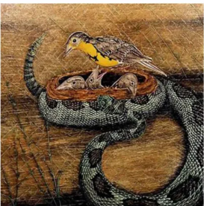 Figure 8.  The Meadowlark and the Rattlesnake.  Painting done by M ark McGinnis to go along  with his retelling o f Native Animal Wisdom  Stories