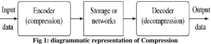 Fig 1: diagrammatic representation of Compression 