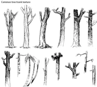 Figure 19. Withered trees in winter. Yanqing. Beijing