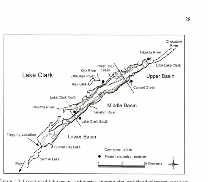 Figure  1.2  Location of lake basins, tributaries, tagging site,  and fixed telemetry receivers  in the Lake Clark watershed (contours redrawn from Anderson  1969).