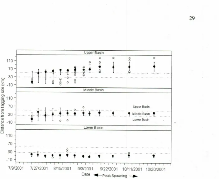 Figure  1 . 3 .  Distance radio tagged sockeye  salmon  were located from the tagging site by  date;  boxes comprise central  50% of data,  filled circles indicate median, and empty  circles indicate outliers