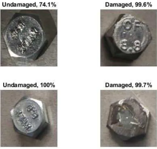 Figure 6: A selection of classification test results 