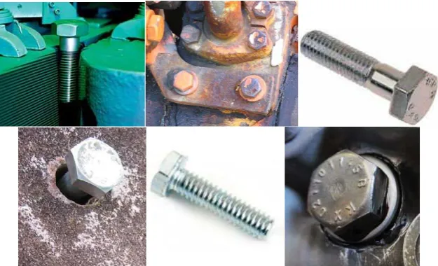 Figure 1: A selection of images from the ILSVRC dataset. 