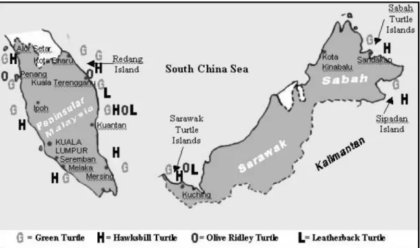 Figure 2. Marine turtle nesting sites in Malaysia.