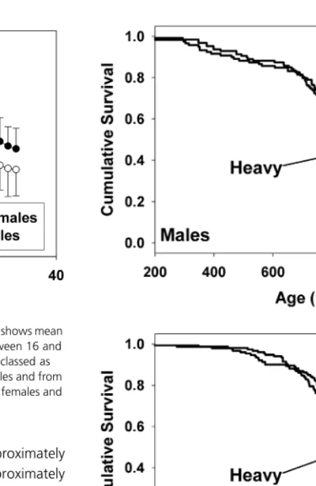 Fig. 3 The regression coefﬁcient function of age. Values of β, plotted with its standard error as a β were derived at each age from the Cox regression of life span as a function of percentiled weight scores.