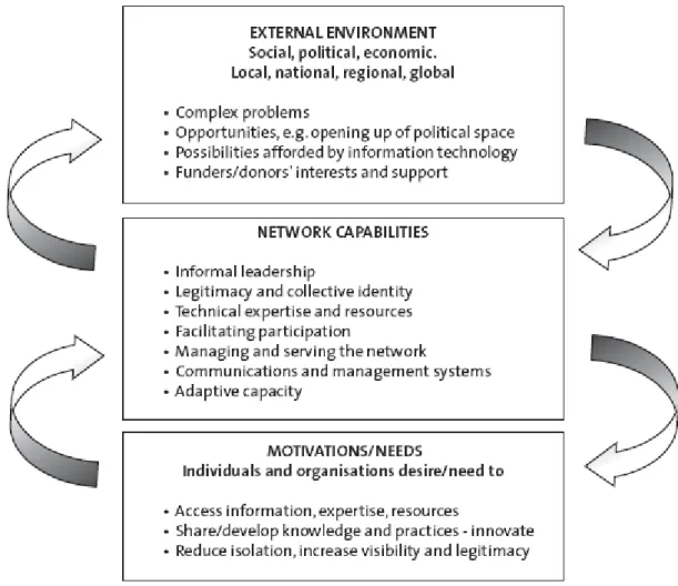 Figure II. The Network Framework 