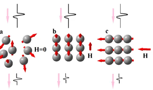 Figure 8. Formation of chain aggregates as a function of the direction of the magnetic ﬁeld.