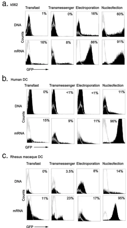 TABLE 1. Gene expression and cell viability following transfectionof immature monkey DC