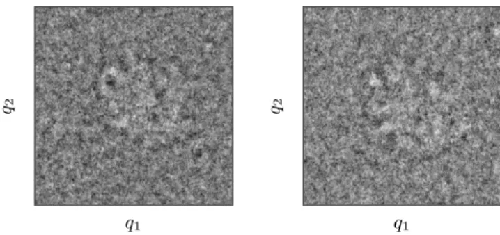 Figure 2: Two images from the EMPIAR-10028 cryo-electron microscopy dataset [55] as functions of the spatial position (q 1 , q 2 )