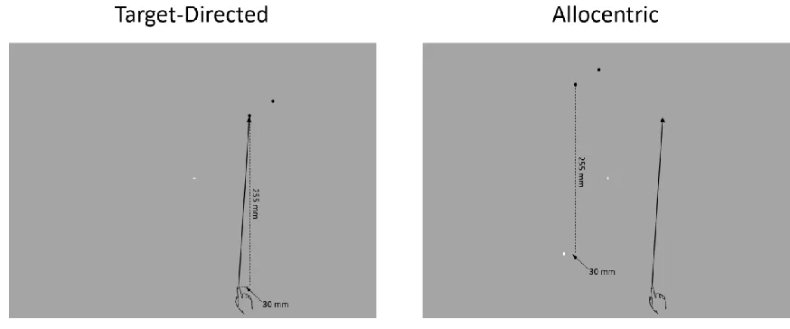 Figure 1. Stimuli used in target-directed and allocentric tasks. The black and white 