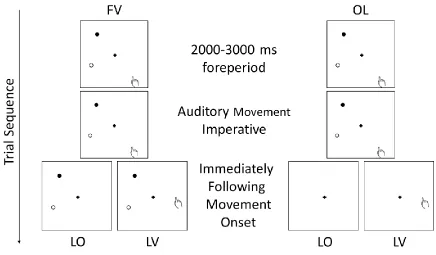 Figure 3. Schematic of limb and target vision conditions for the allocentric task (FV: 