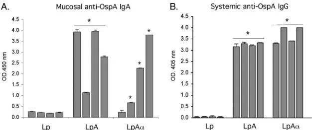 FIG. 3. Oral immunization with OspA-expressing L. plantarumgroup were immunized by intragastric inoculation with recombinant OspA- or OspAcarrying the empty vector pLAC613 (Lp antigen)