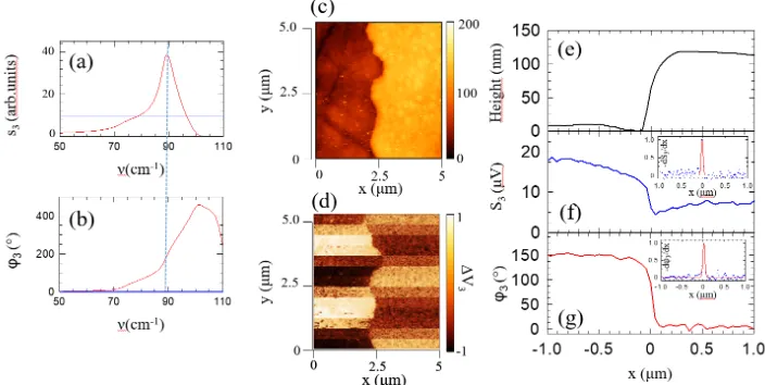 Fig. 2. Amplitude and phase resolved THz nanoscopy on a resonant polar crystal. (a-b) Simulated, near-field resonant dielectric response of CsBr (red lines) and Au (blue lines): shorten the optical path by amplitude (s3) and phase (φ3) plots as a function 