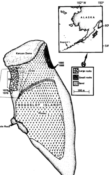 FIG. I .   Bogoslof Island,  showing  the  location of male  northern  fur  seals  seen  in  1976 and 1979  and the area occupied by the fur  seal  rookery  in  1985 and  1988