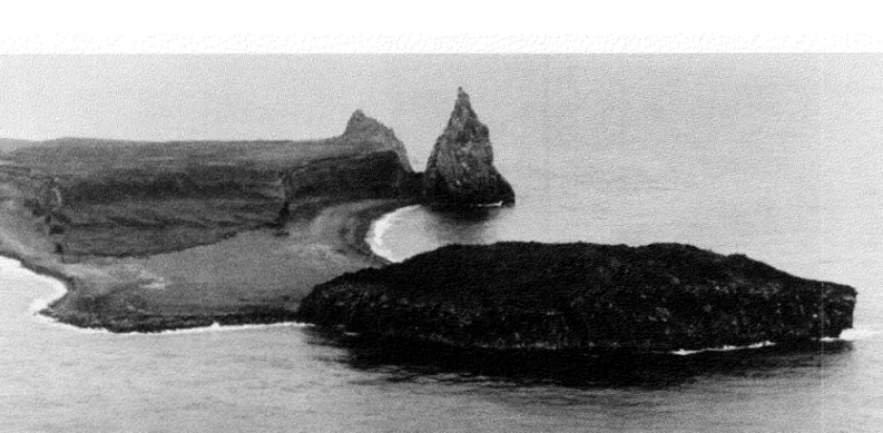 FIG.  3.  An aerial  photograph  of  Bogoslof  Island in  July  1975  looking  south. 
