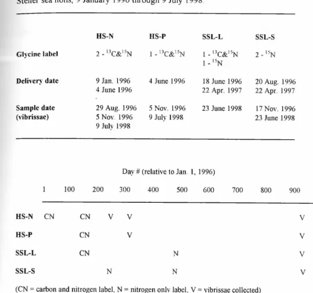 Table 2.1.  Chronology o f vibrissae growth rate experiment  in  captive harbor seals and  Steller sea lions,  9  January  1996 through  9 July  1998.