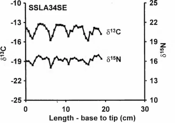 Figure  2.9  Stable  isotope  plot  o f a vibrissa from  an  adult female  Steller  sea lion  in  southeastern  Alaska collected  June  1993