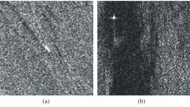 Figure 2. SAR image patches with a size of 150 × 150 pixels.