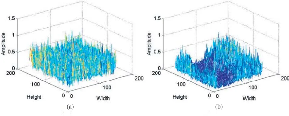 Figure 3. Mesh plots for the SAR image patches. (a) Fig. 2(a). (b) Fig. 2(b).