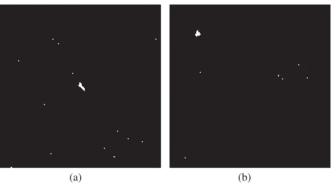 Figure 9. Histogram of clutter data shown in Fig. 2. (a) Result of SAR image patch in Fig