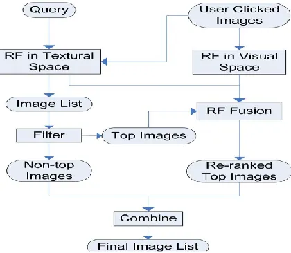 Figure 2: flow chart of TRF and VRF 