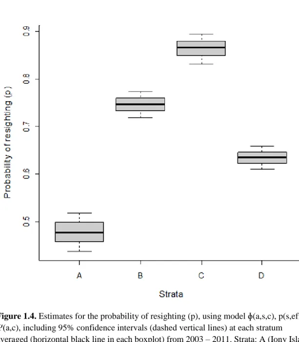 Figure 1.4. Estimates for the probability of resighting (p), using model ɸ(a,s,c), p(s,eff),  Ψ(a,c), including 95% confidence intervals (dashed vertical lines) at each stratum 