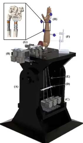 Figure 2.14: Active Wrist Motion Simulator.   The in vitro active motion simulator in capable of loading 
