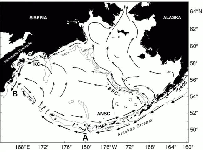 Figure 2: Schematic of mean circulation in the upper 40 m over the Bering Sea basin and shelf