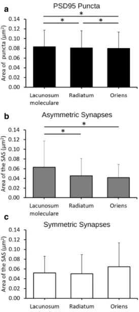 Figure 6.  Size of PSD95 puncta, asymmetric synapses and symmetric synapses. (a) Area of PSD95-positive  puncta (µm 2 ) acquired by SDM in the hippocampus (CA1) (Mean + SD)