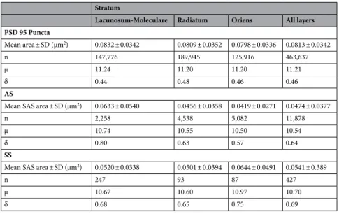 Table 2.   Surface areas of PSD95 puncta acquired by SDM, and surface areas of the synaptic apposition surface  (SAS) of asymmetric (AS) and symmetric (SS) synapses reconstructed from FIB-SEM samples