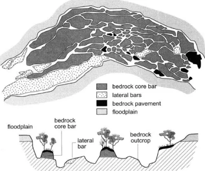 Figure 2.1-6: A typical planform and cross-section of a bedrock-confined anabranching network  (Brierley and Fryirs, 2005) 