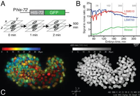 Fig. 1. 4D data acquisition and image properties.