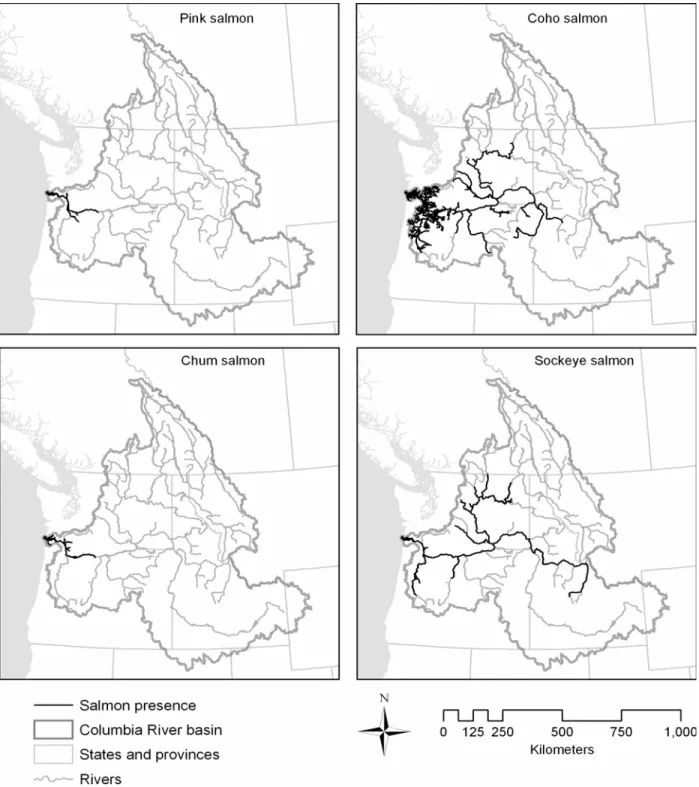Figure 3.  Present distribution of pink, coho, chum, and sockeye salmon in the Columbia River basin