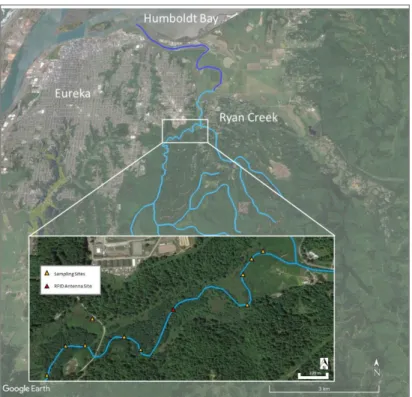 Figure 4. Ryan Creek sampling sites and approximate location of RFID antennas.  