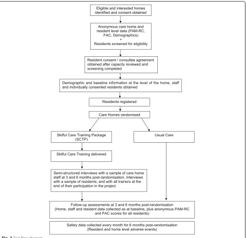 Fig. 2 Trial flow diagram