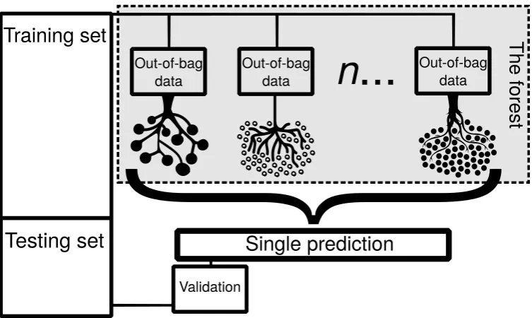 Figure 1. Conceptual diagram of a random forest model. Many out-of-bag samples are taken from the training set and different decisiontrees are grown