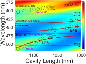 Fig. 3. 3D TM simulation of transmission as a function of cavity length and wavelength