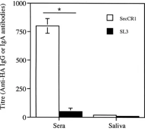 FIG. 8. Immune response from oral colonization with S. gordoniimeansAntigen-speciﬁc IgG antibody in sera and IgA antibody in saliva frommice colonized with