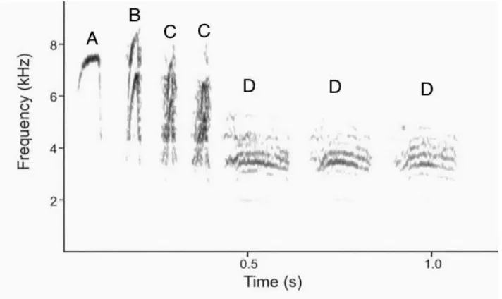 Figure 1- 4 Spectrogram of the black-capped chickadee chick-a-dee call. This figure depicts the four different note types which comprise the chick-a-dee call; A, B, C and D notes