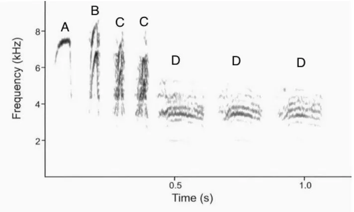 Figure 2- 1 Spectrogram of the black-capped chickadee chick-a-dee call. This figure depicts the four different note types which comprise the chick-a-dee call; A, B, C and D notes