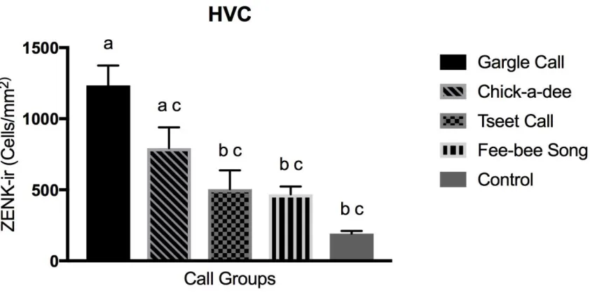 Figure 2- 5 Example ZENK immunoreactivity in HVC of black-capped chickadees in each of the five vocalization conditions