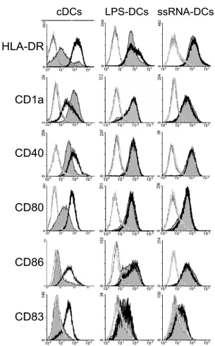 FIG. 1. ssRNA-DCs and LPS-DCs display a mature phenotype. Monocyte-derived DCs were differentiated in the presence or not (cDCs) of LPS(LPS-DCs) or ssRNA/Dotap (ssRNA-DCs)