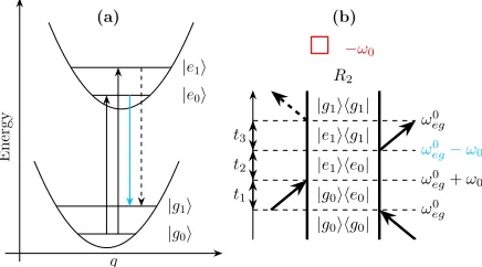 Figure 3: Example negative rephasing coherence pathway drawn onto the displaced harmonicoscillator potential energy surface in (a) and as a double-sided Feynman diagram in (b)