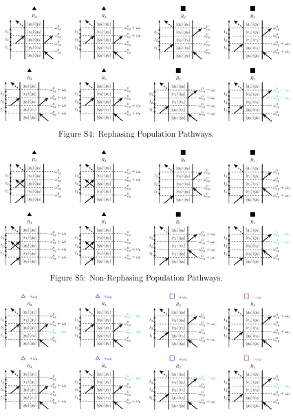 Figure S4: Rephasing Population Pathways.