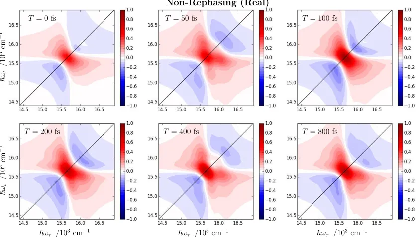 Figure S10: Rephasing (real) spectra for the centred laser spectrum simulation.