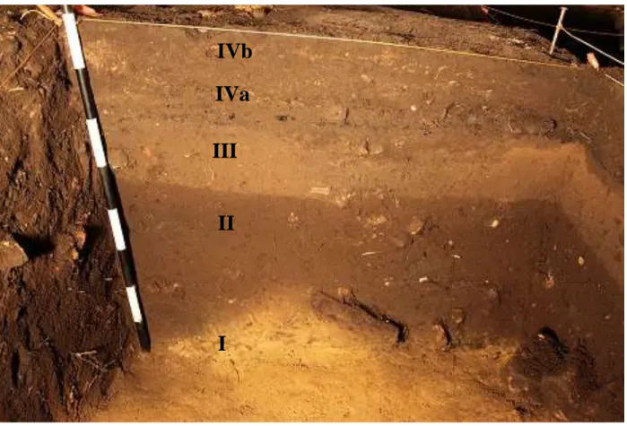 Figure 5: S32 Stratigraphy – TU2 N Wall, photo courtesy Jay Franklin.  