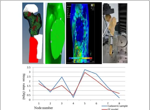 Fig. 3 Verification of model validity. a Constrain. b Node plane. c Model validity. d Cadaveric validity
