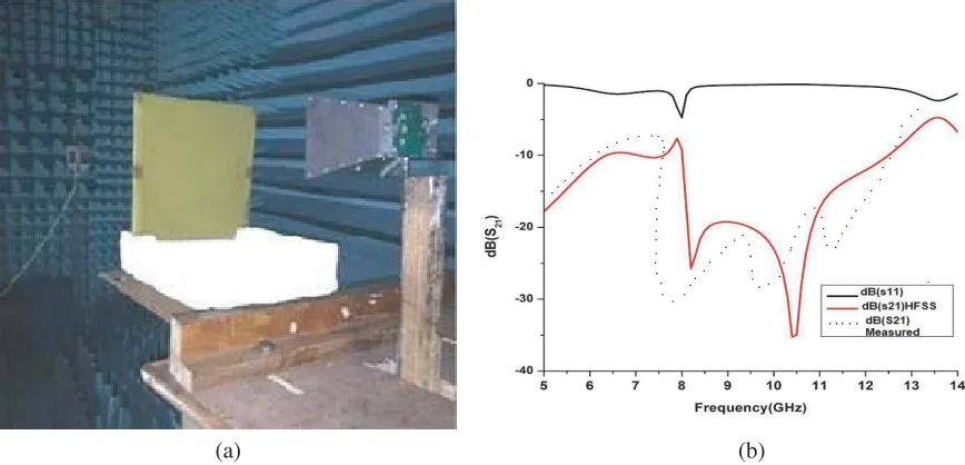 Figure 8. (a) Fabricated 30layer 30 × 30 cells patch array. (b) Fabricated 30 × 30 cells strip array