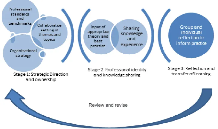 Figure 1: A model for professional groups 